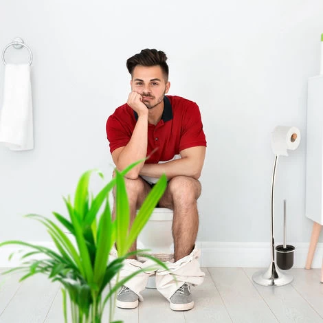 Relaxdays Toilet Brush, Set Of 2, Loo Brushes, WC, Removable Head, Bristles, No Holder Included Black 36 X 8 Cm, Black 5 Relaxdays Toilet Brush, Set Of 2, Loo Brushes, WC, Removable Head, Bristles, No Holder Included Black 36 X 8 Cm, Black - Image 3