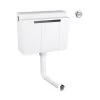 Grohe Adagio 39054 Dual Flush Concealed Cistern Side Entry + Chrome Button 2 Grohe Adagio 39054 Dual Flush Concealed Cistern Side Entry + Chrome Button -Comfort Bathroom Store 28961341 1