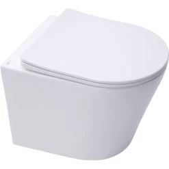 Swiss Aqua Technologies Infinitiorimless Wall-hung Toilet With Invisible Fixings + Softclose Seat (Infinitiorimless)