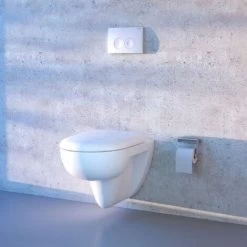 Geberit Delta25 Flush Plate For Dual Flush - White Alpine -Comfort Bathroom Store 55150944 3