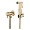 Stainless Steel Toilet Bidet Sprayer, Bidet Sprayer Kit, Faucet Sprayer Toilet Sprayer (Gold) -Comfort Bathroom Store 70367128 1