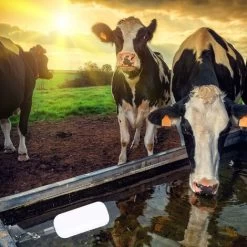 Pieces Water Ball Float Reliable Close 1/2 Inch Fill Humidifier Water Tank, Ball Valve, Pond Float Replacement Valve 11 Pieces Water Ball Float Reliable Close 1/2 Inch Fill Humidifier Water Tank, Ball Valve, Pond Float Replacement Valve -Comfort Bathroom Store 76689112 5