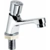 Bathroom Sink Faucets, Self-Closing Delayed Sink Faucet. -Comfort Bathroom Store 88616659 1